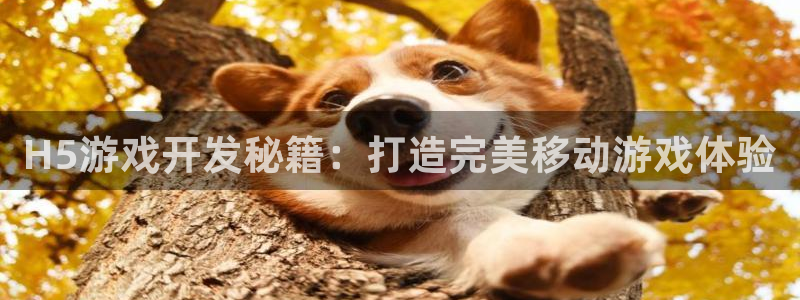 沐鸣2平台代理注册