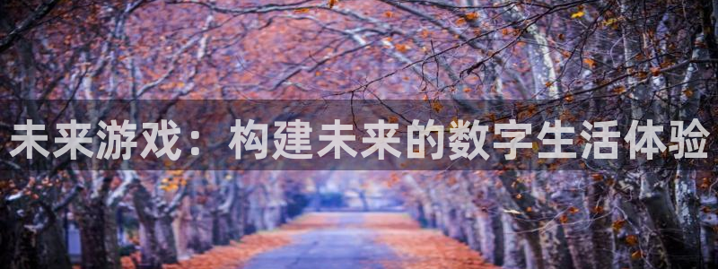 沐鸣娱乐2登录地址：未来游戏：构建未来的数字生活体验