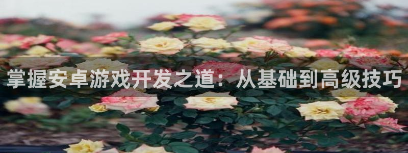 沐鸣2代理求27337：掌握安卓游戏开发之道：从基础到高级技巧