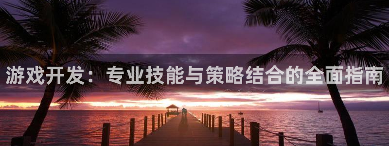 沐鸣娱乐2官网网址是什么：游戏开发：专业技能与策略结合的全面指南