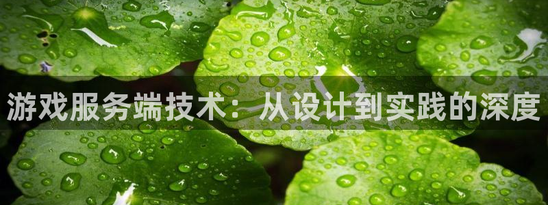 沐鸣2app下载：游戏服务端技术：从设计到实践的深度
