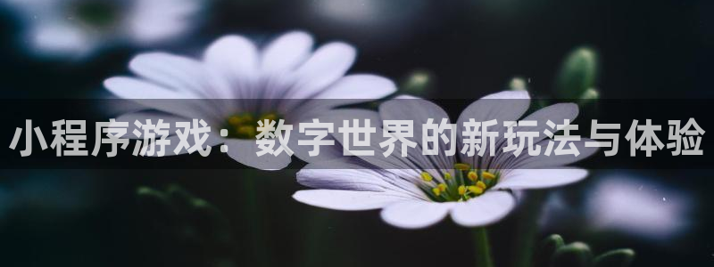 沐鸣2平台在线注册：小程序游戏：数字世界的新玩法与体验