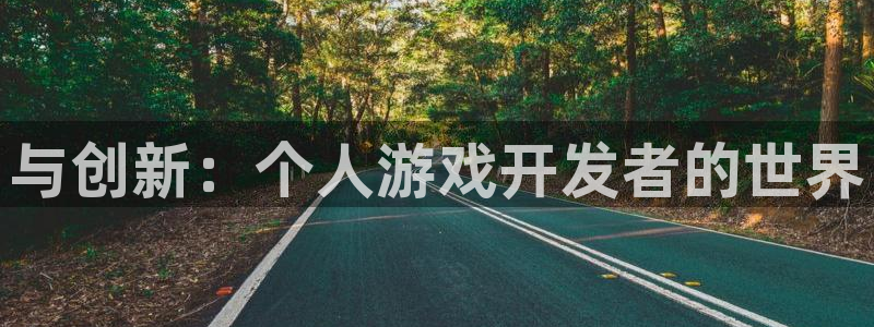 沐鸣娱乐2可靠吗：与创新：个人游戏开发者的世界