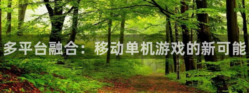 沐鸣娱乐平台2注册：多平台融合：移动单机游戏的新可能