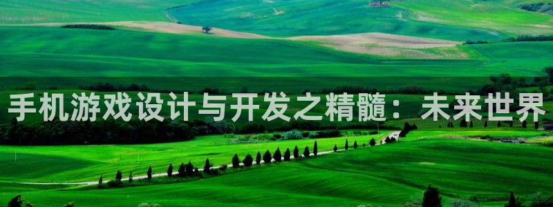 沐鸣娱乐2在线登录：手机游戏设计与开发之精髓：未来世界
