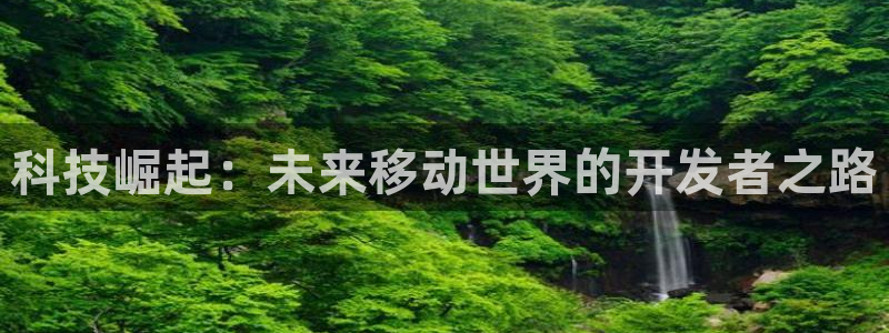 沐鸣2多少年：科技崛起：未来移动世界的开发者之路