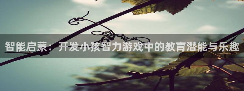 沐鸣娱乐2电脑版：智能启蒙：开发小孩智力游戏中的教育潜能与乐趣