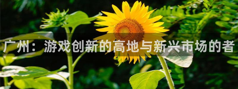 沐鸣2娱乐平台登录客服：广州：游戏创新的高地与新兴市场的者