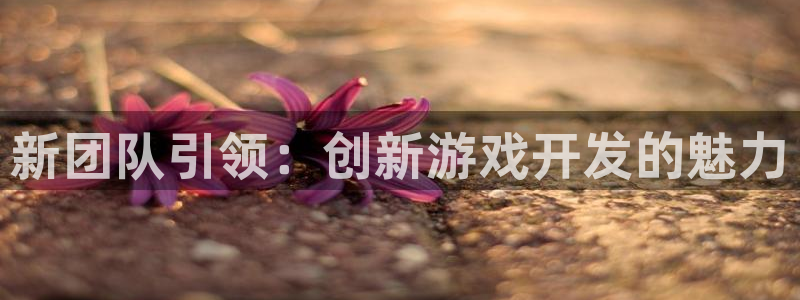 沐鸣2注册首页：新团队引领：创新游戏开发的魅力