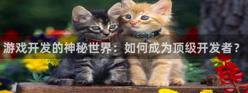 沐鸣娱乐2登录：游戏开发的神秘世界：如何成为顶级开发者？