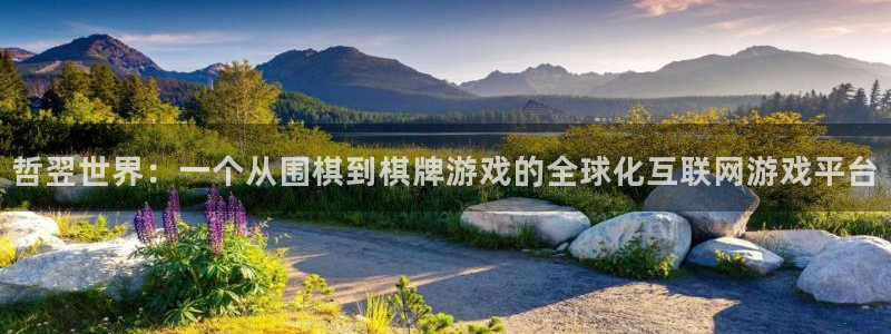 沐鸣娱乐2登录平台是什么软件：哲翌世界：一个从围棋到棋牌游戏的全球化互联网游戏平台