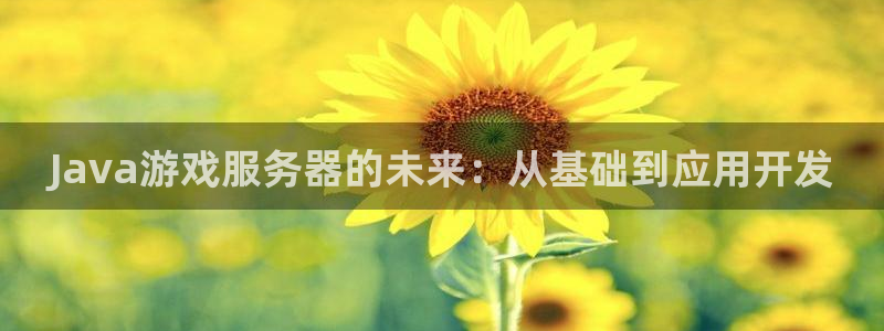 沐鸣娱乐臼44262：Java游戏服务器的未来：从基础到应用开发