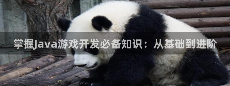 沐鸣娱乐2手机下载破解版：掌握Java游戏开发必备知识：从基础到进阶