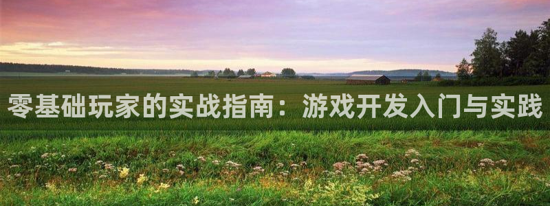 沐鸣娱乐2官网网址：零基础玩家的实战指南：游戏开发入门与实践