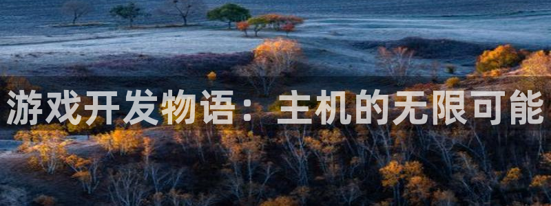 沐鸣娱乐2手机下载：游戏开发物语：主机的无限可能