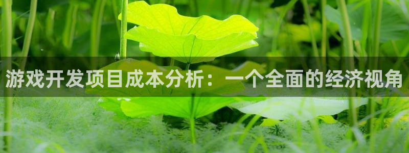 沐鸣2登录测速：游戏开发项目成本分析：一个全面的经济视角