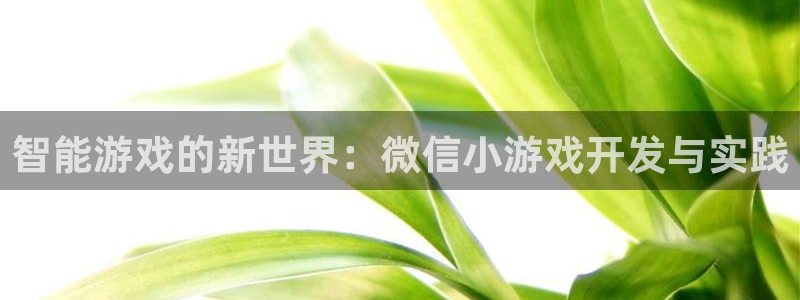 沐鸣2注册登录下载：智能游戏的新世界：微信小游戏开发与实践